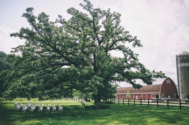 427292-14721-l-56483uGazE8E