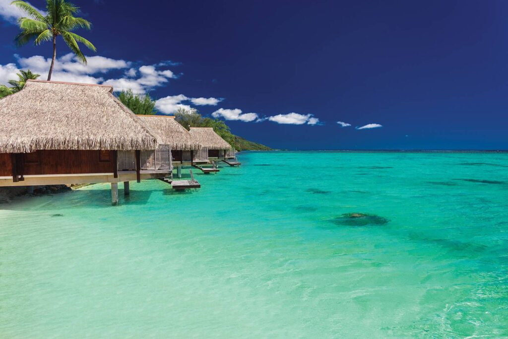 Blissful Honeymoons & Destination Weddings