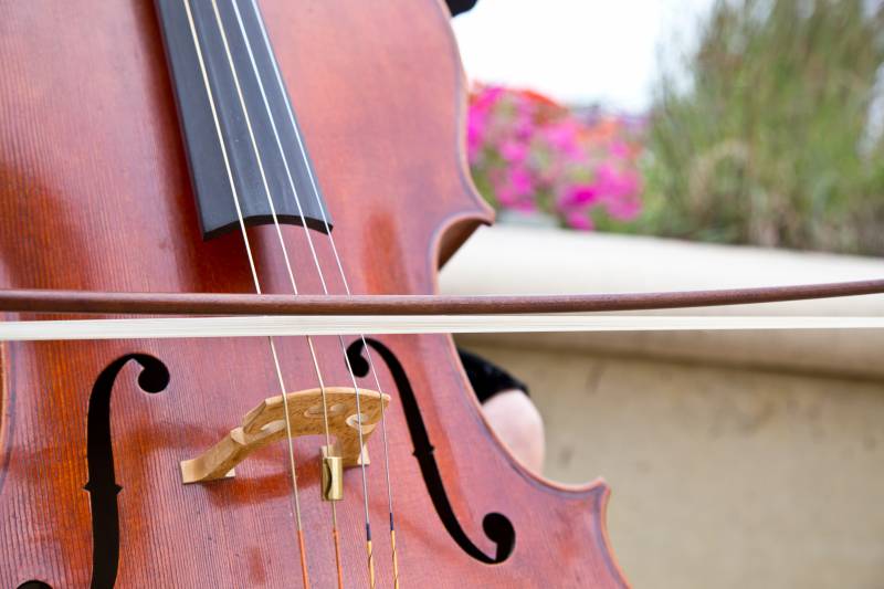 749781-14806-l-56483maHu9Yj