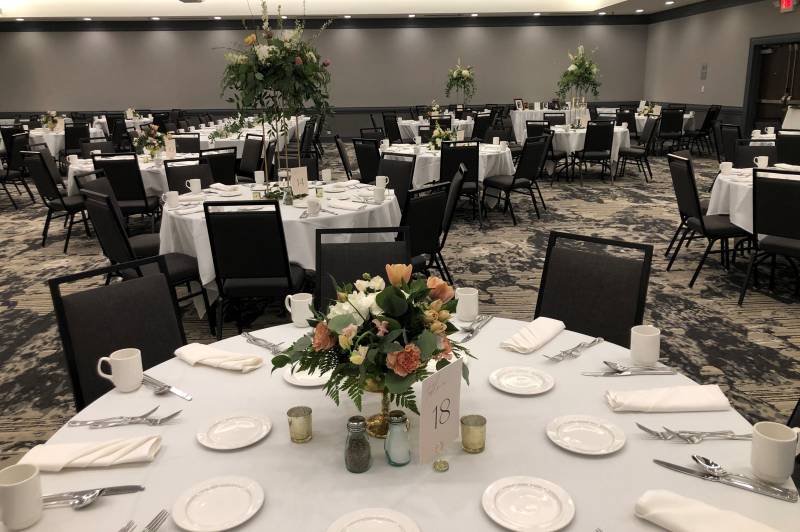 1156025-44784-l-56483muJErYm