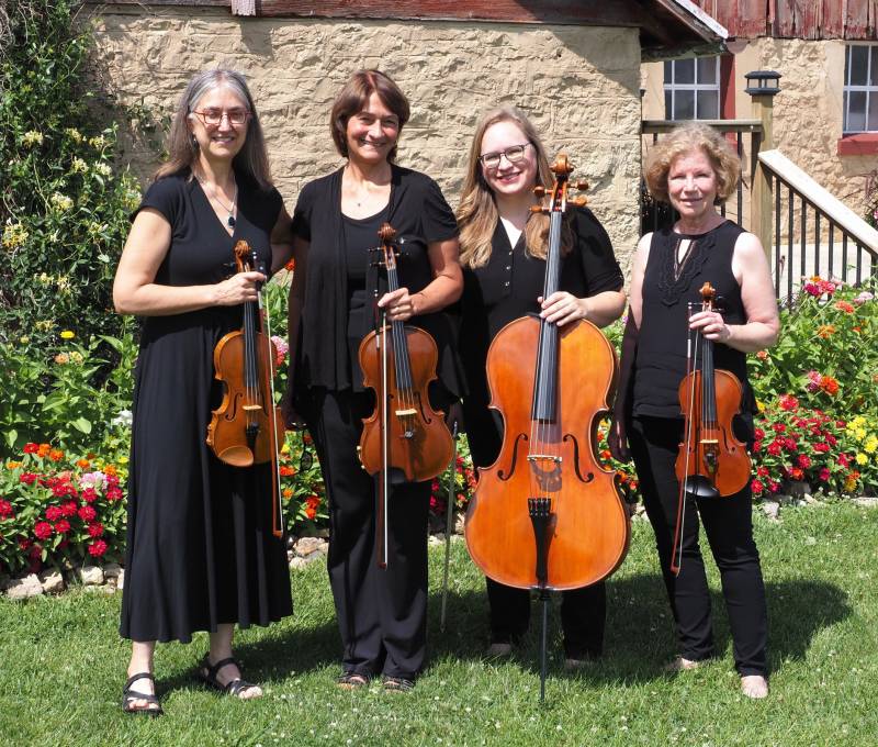 1138697-22891-l-56483ysu4APu