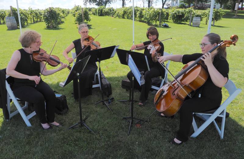 1138700-22891-l-56483eNYHy2y