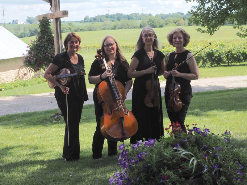 1138703-22891-l-56483aGA5UNE