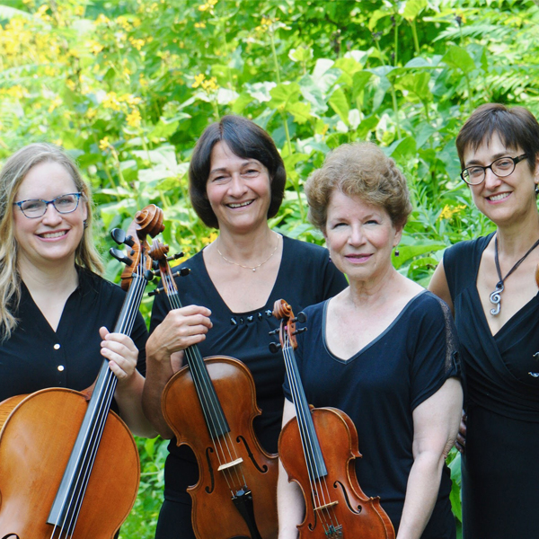 749626-22891-l-JapyLYp