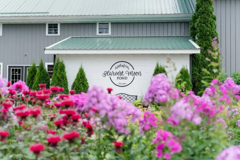 1233167-51431-l-56483LAmurA4