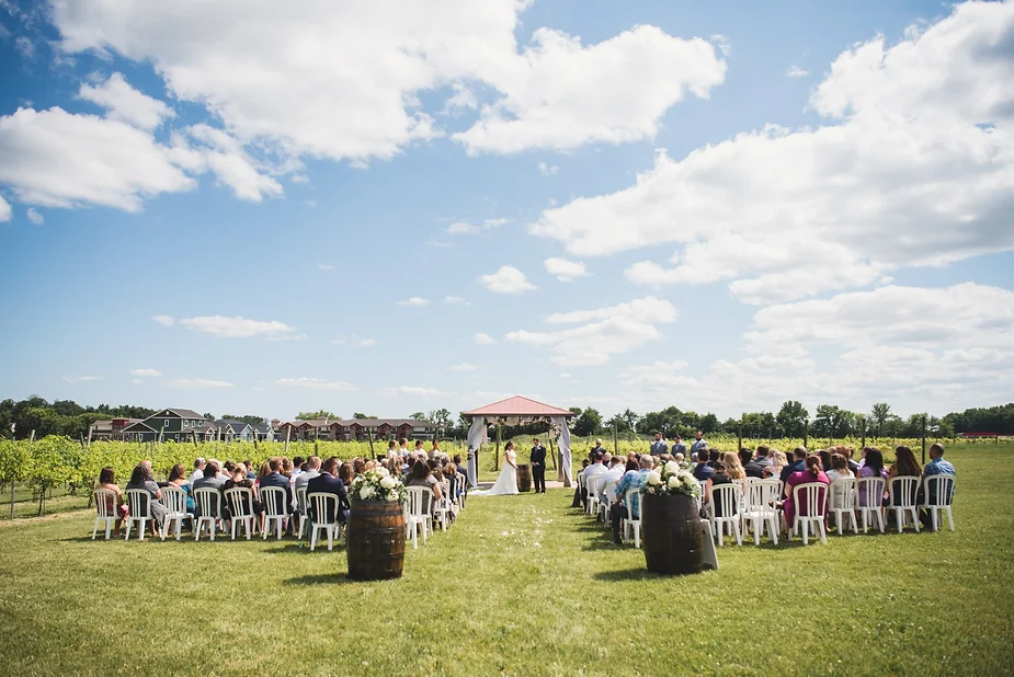 1156866-14599-l-Yva4ybU