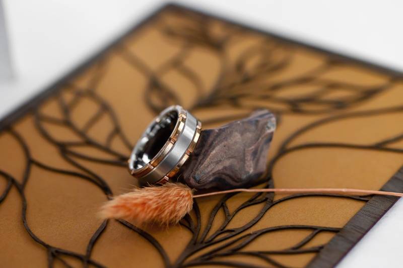 1157340-49126-l-56483uDegaDy