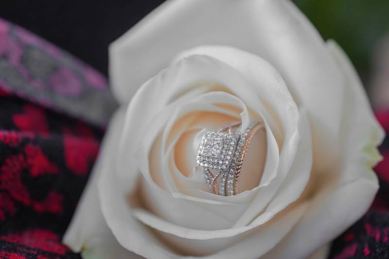 1157343-49126-l-56483XaNuhUp