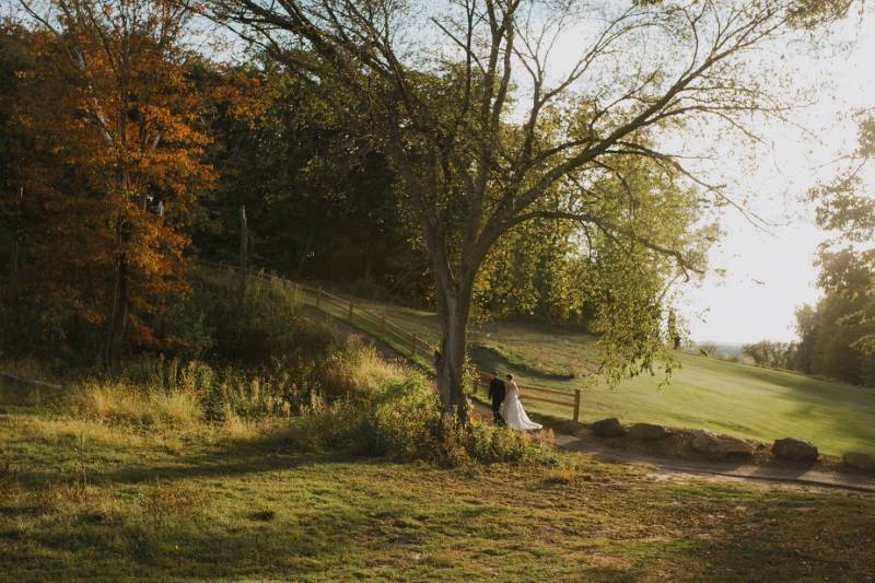 691523-14622-l-564838y9YnYd