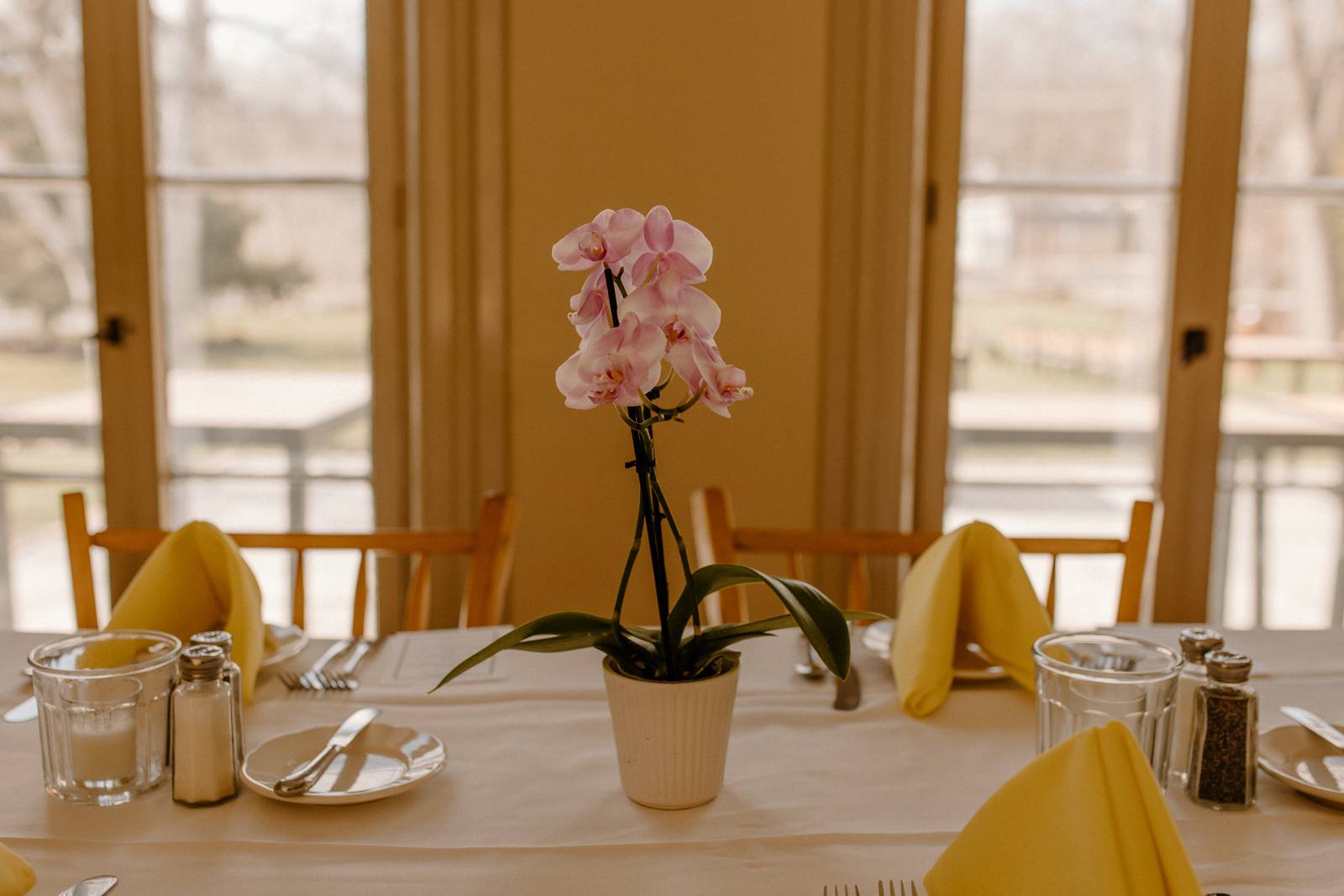 Simple Beautiful Orchid Plant Centerpiece