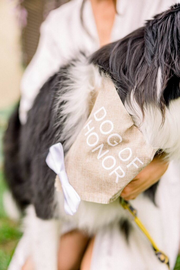 5 IDEAS TO INCLUDE YOUR PET ON YOUR WEDDING DAY