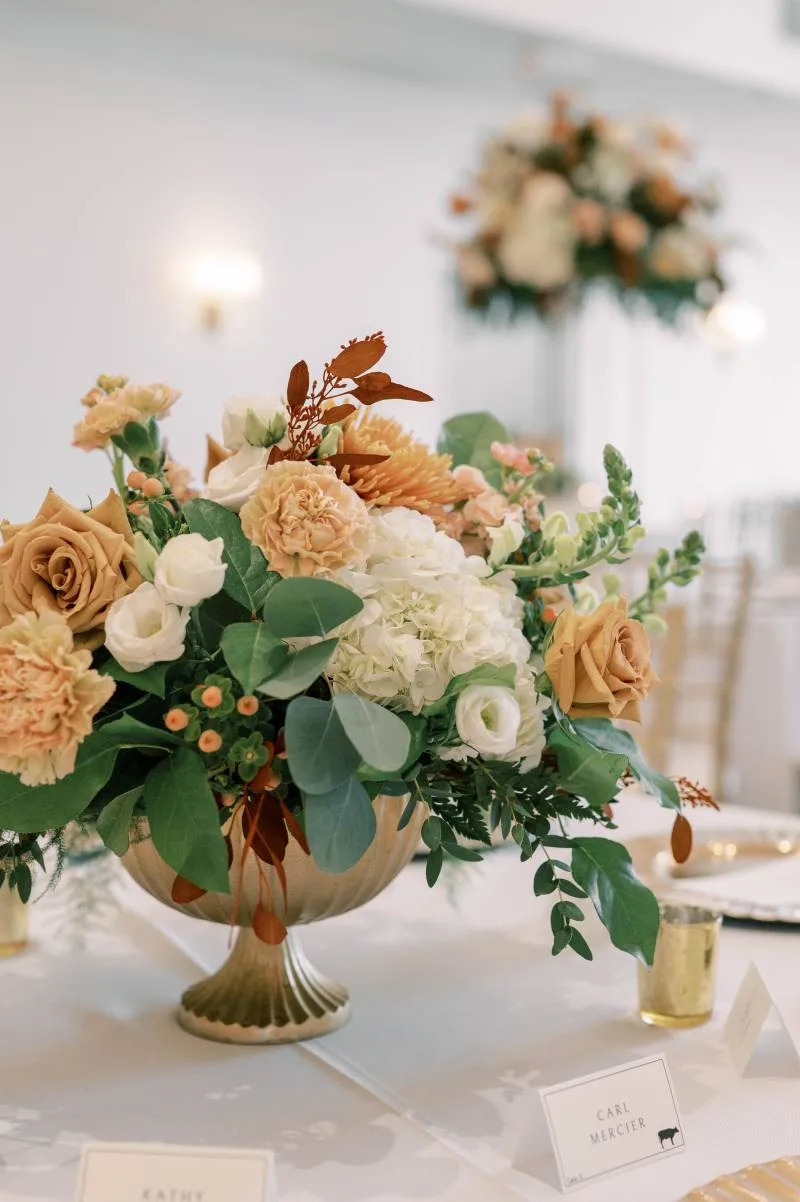 1233668-50627-l-56483u6UXuZA