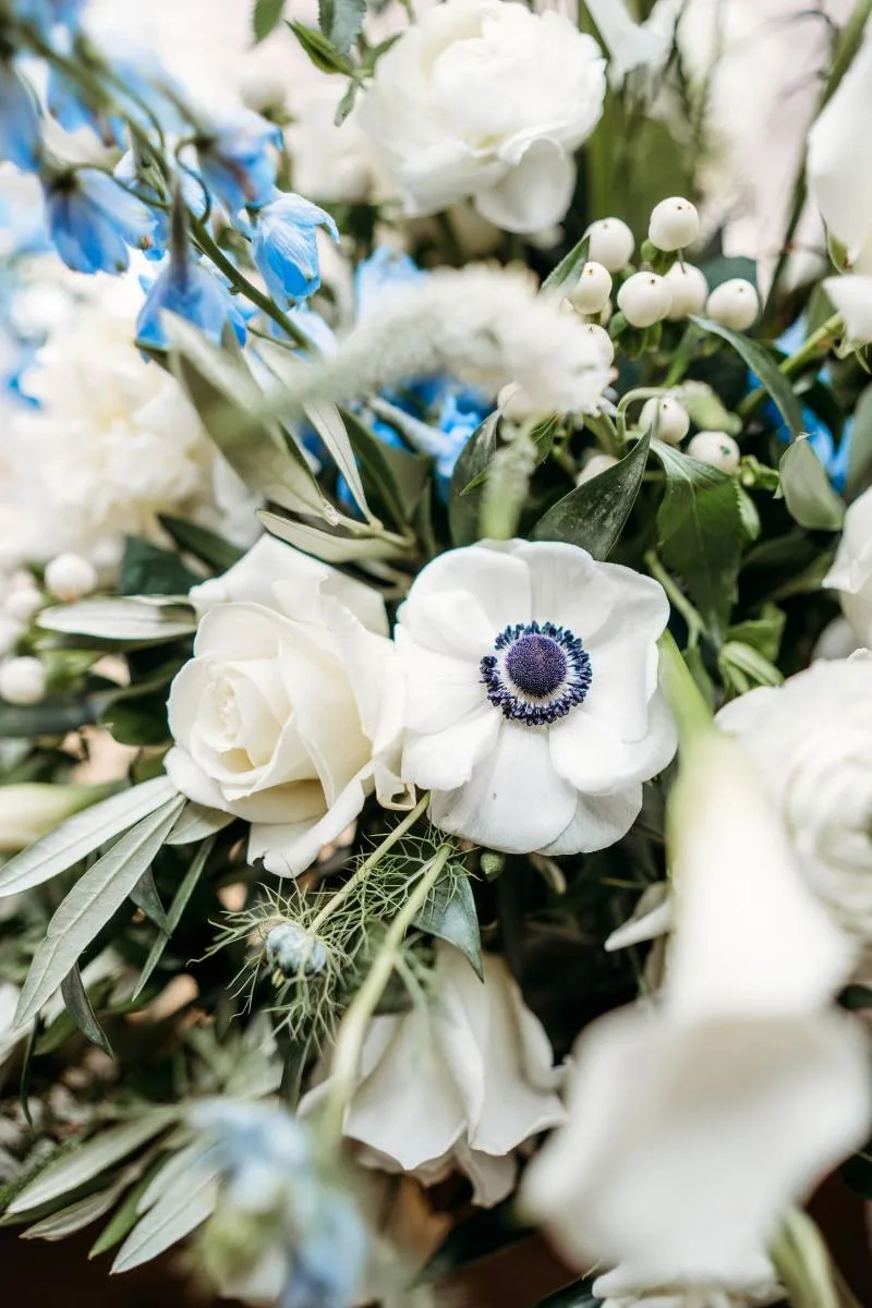 1233671-50627-l-56483byLAvuR