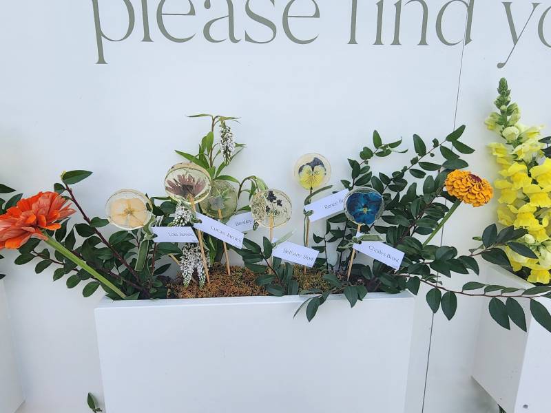 1192215-47060-l-56483raQeZYz