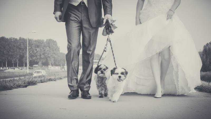 1215009-50826-l-564833yPYtyQ