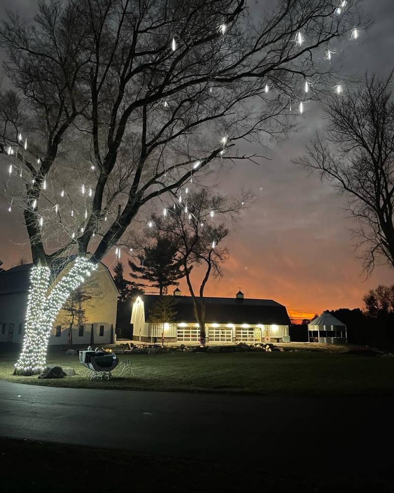 1215430-49073-l-56483YtYqe9A