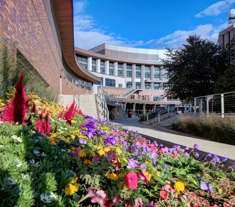 1216174-50856-l-56483ynEjULe