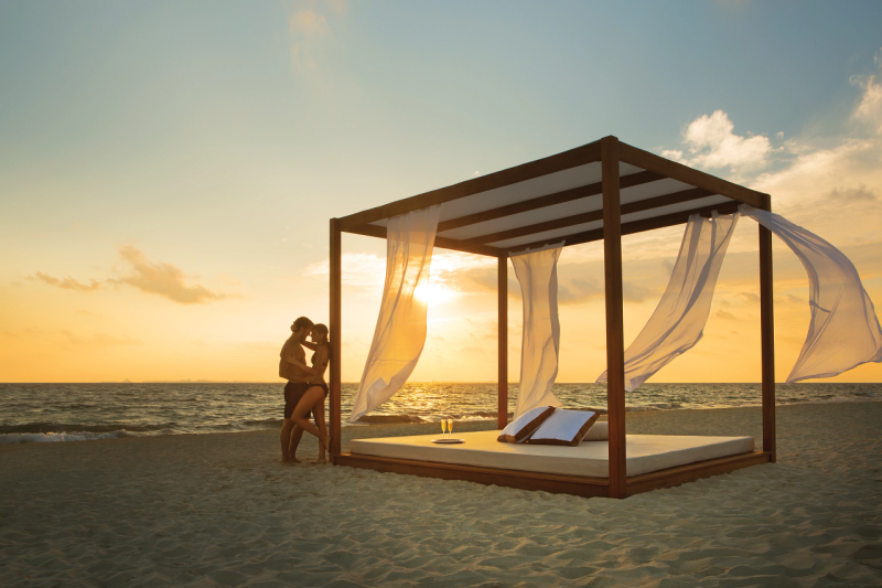 1218042-50897-l-56483e4aVEDy