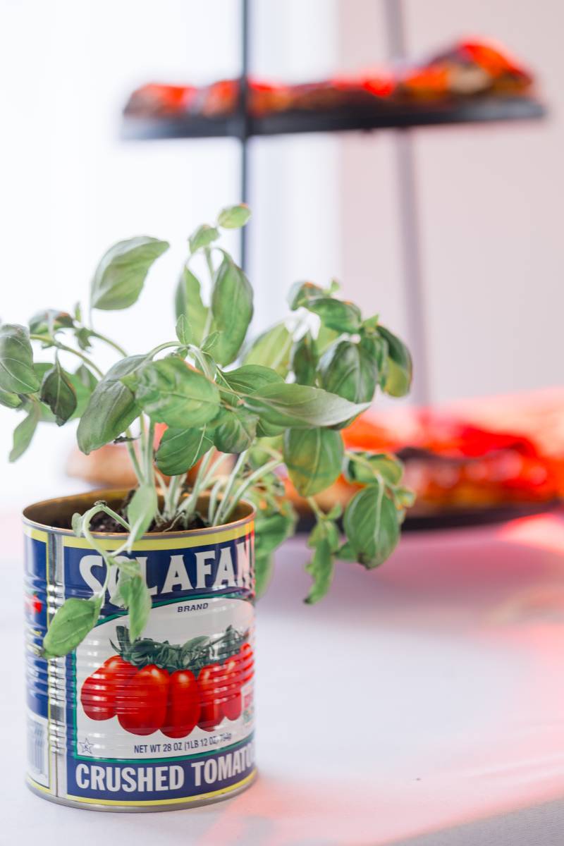 1220551-47978-l-56483rE3ySyg