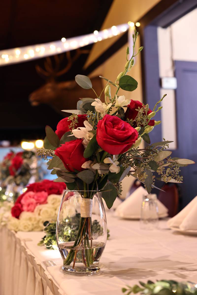 1222352-51019-l-56483yBa4uPU