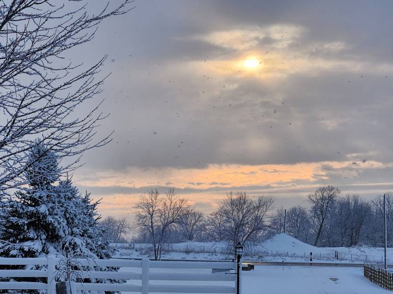 1222470-49184-l-56483utUjY4U