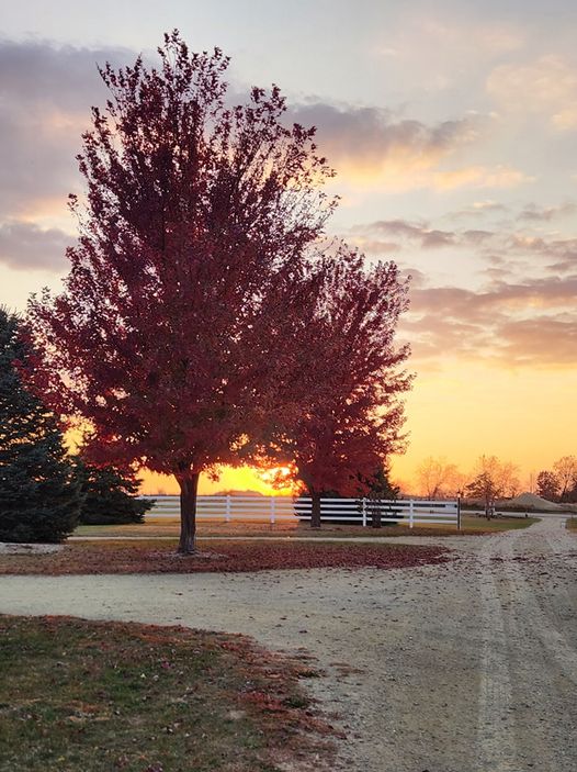 1222474-49184-l-y9Y7UXA