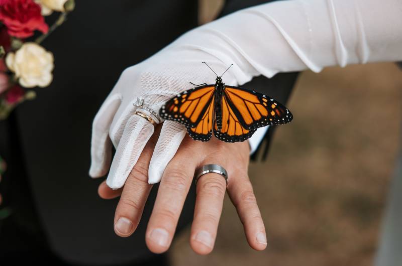 1223653-51056-l-56483epYjA6A