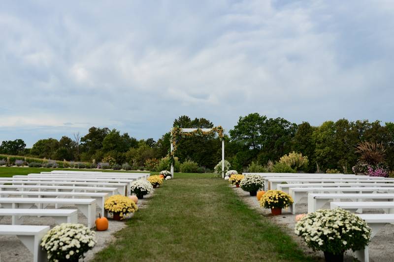 1223341-50305-l-56483upyWY2E