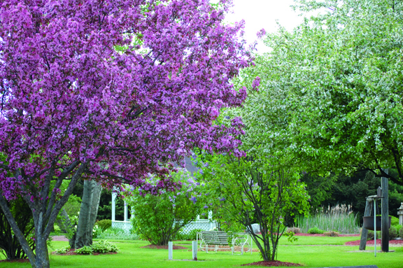 756965-14624-l-NumAZYQ