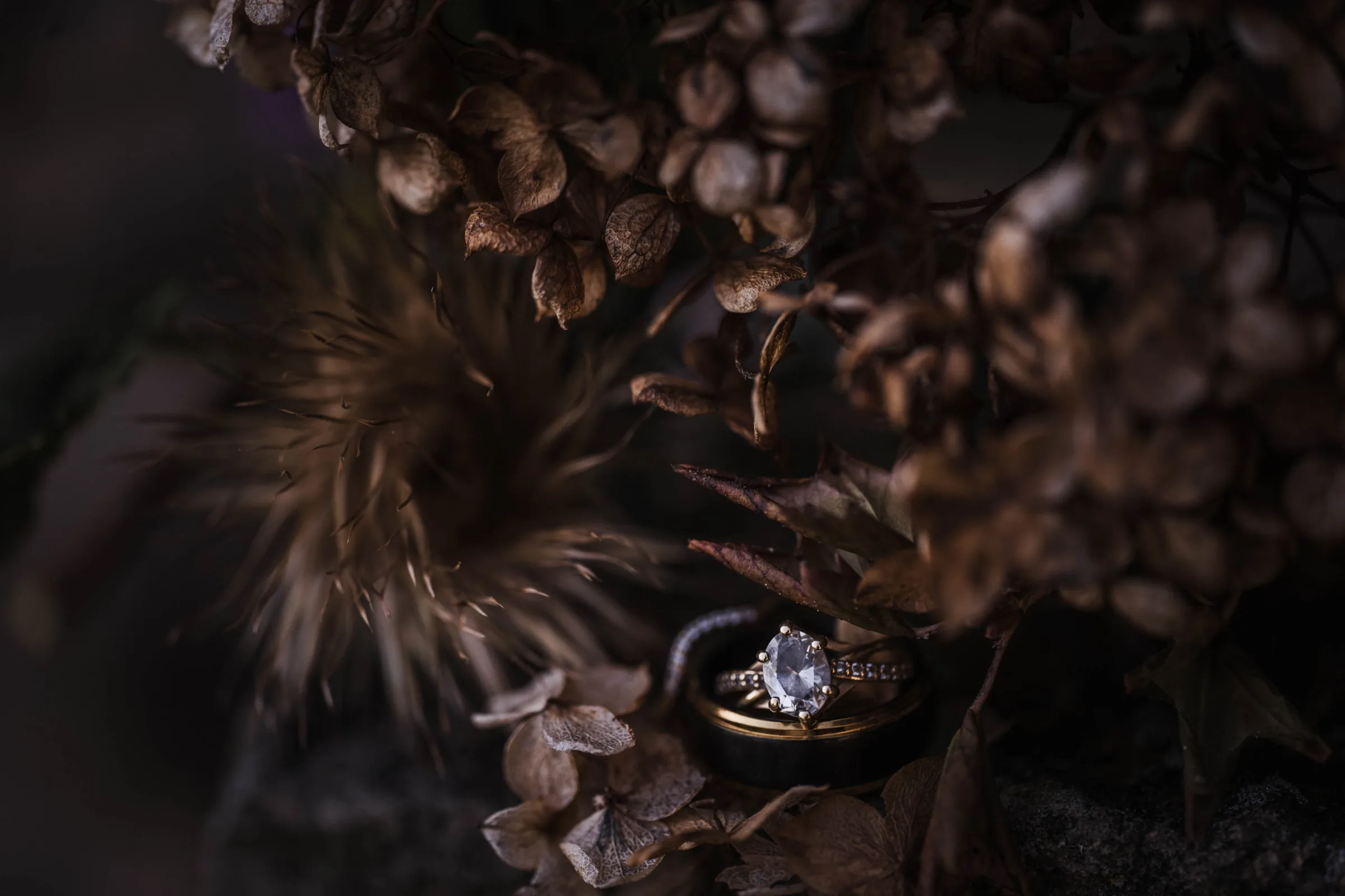 Bobbi-Petersen-Photography-fine-art-wedding-event-photographer-engagement-photos-portraits-pictures-Madison-Wisconsin-7