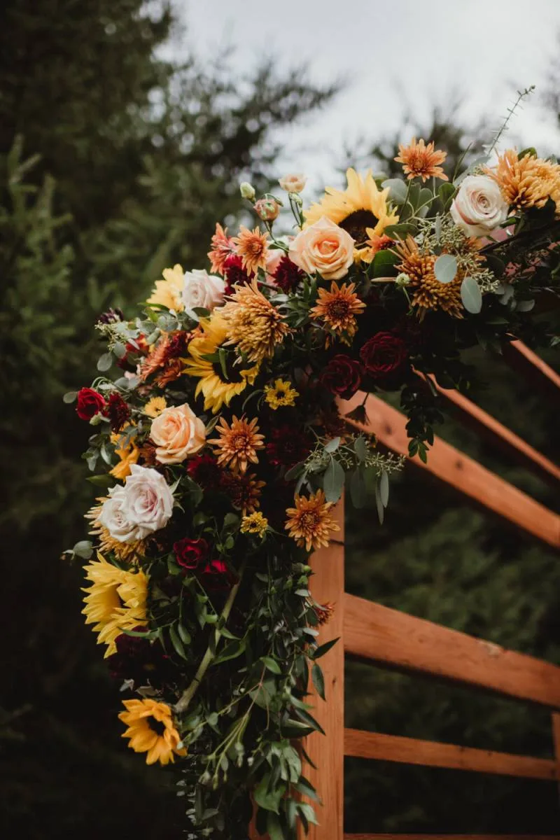 1234368-51474-l-56483epYra5E