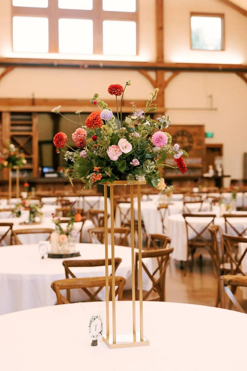 1234372-51474-l-56483TEnEJEM