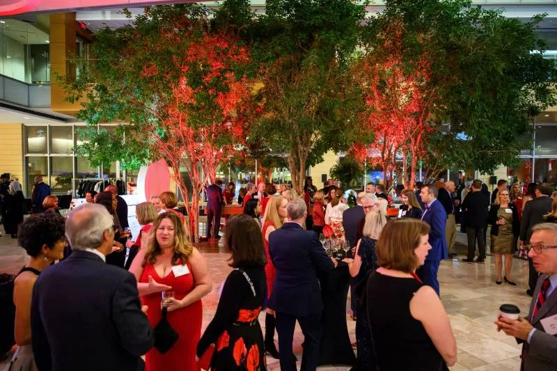 1234435-51477-l-56483WyPahYv