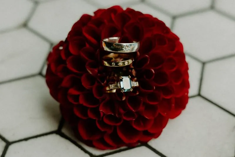 1236925-51594-l-56483UvupU8y