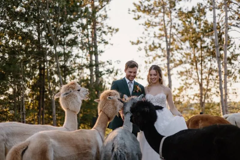 1236927-51594-l-56483Uqu4ebE