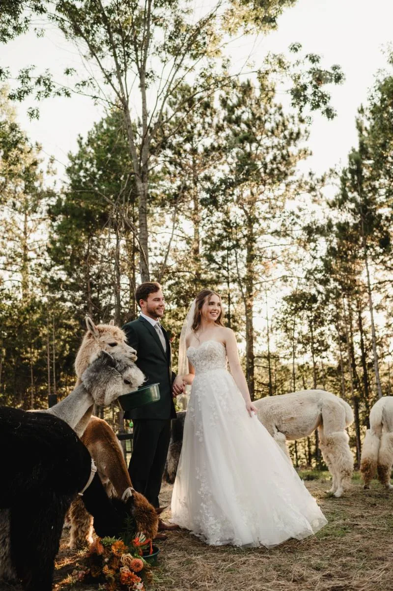 1237030-51600-l-56483ZyQeJAm