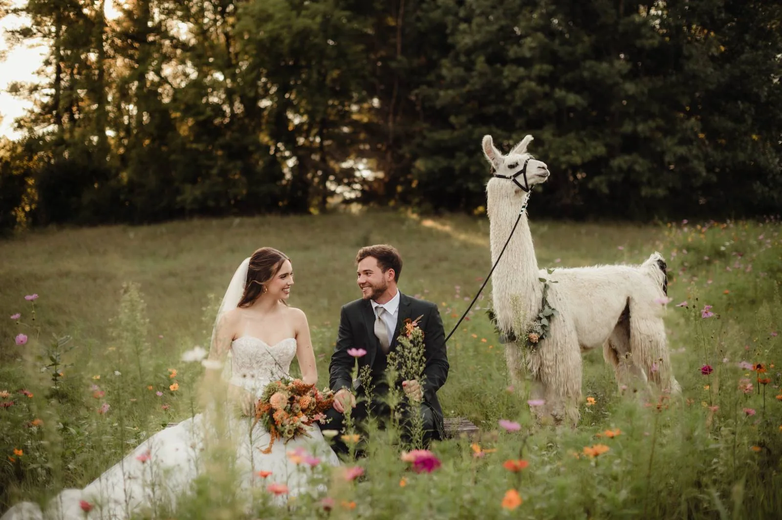 Dreamy Lovers Retreat: A Cozy Summer Editorial at Casacampo Alpaca Ranch