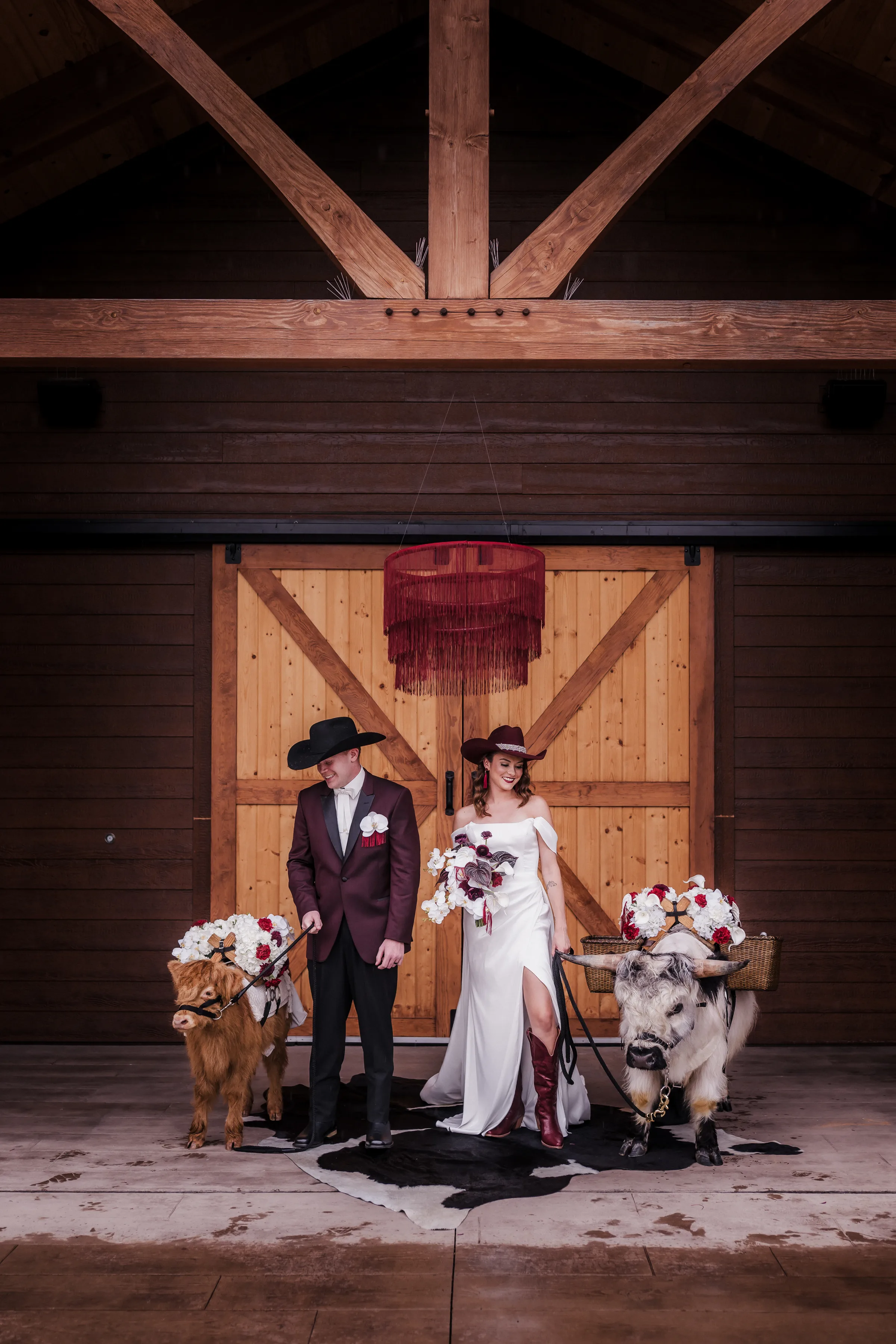 bride and groom models dressed by Charlotte's Bridal & Formal Wear stand against a dark wooden wall at Barnwood events with tasseled burgundy chandelier above them. The bride and groom both hol the reins for one of two beverage steers from Tiny Acre Farms. The miniature steers each carry baskets for drinks and are wearing florals from Melody Rose Designs