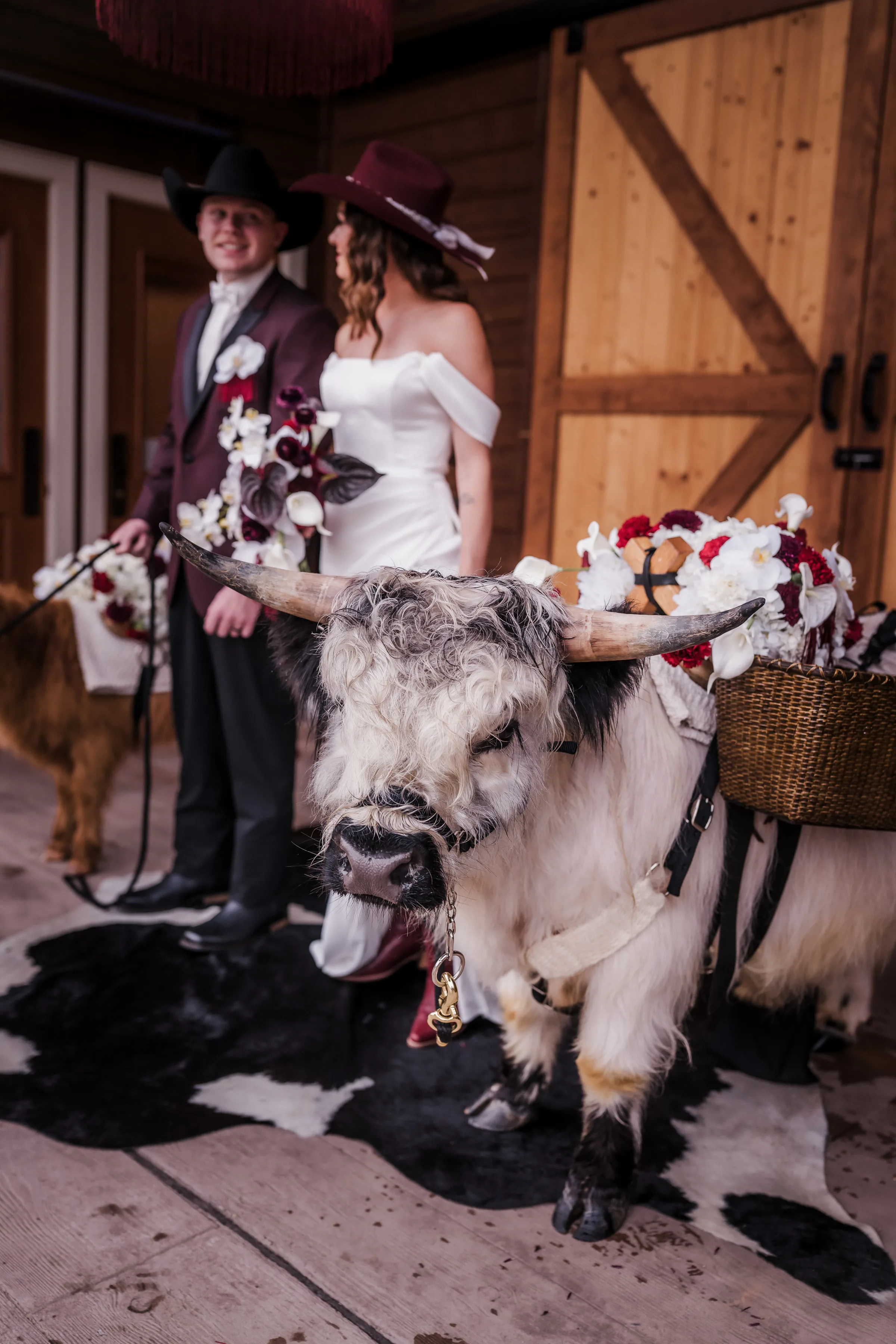 a side angle showing a black-and-white beverage steers standing beside a bride and groom at Barnwood Events