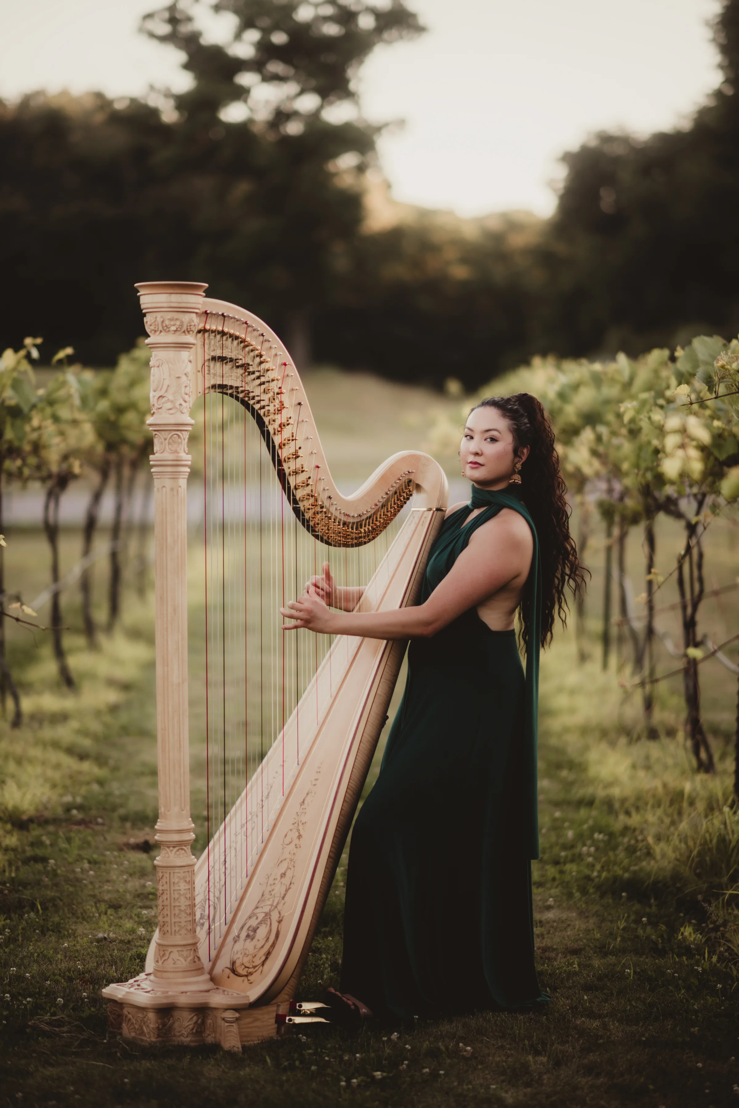 Bella the Harpist plays between rows of trees in Vennebu Vineyard