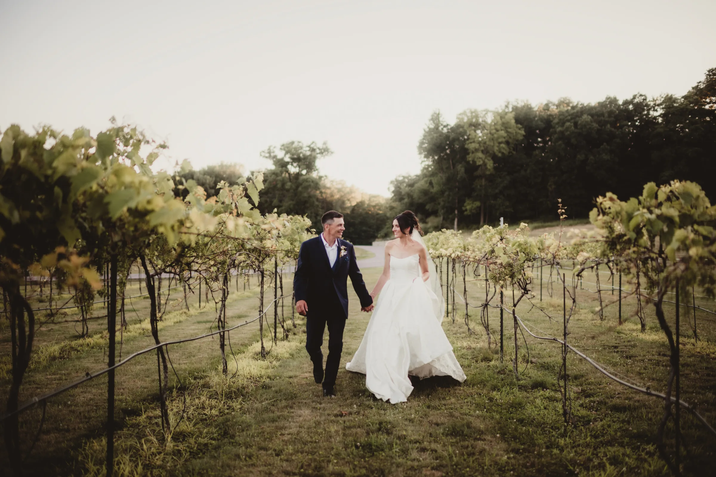 the couple holds hands walking down an aisle of trees in Vennebu Vineyard