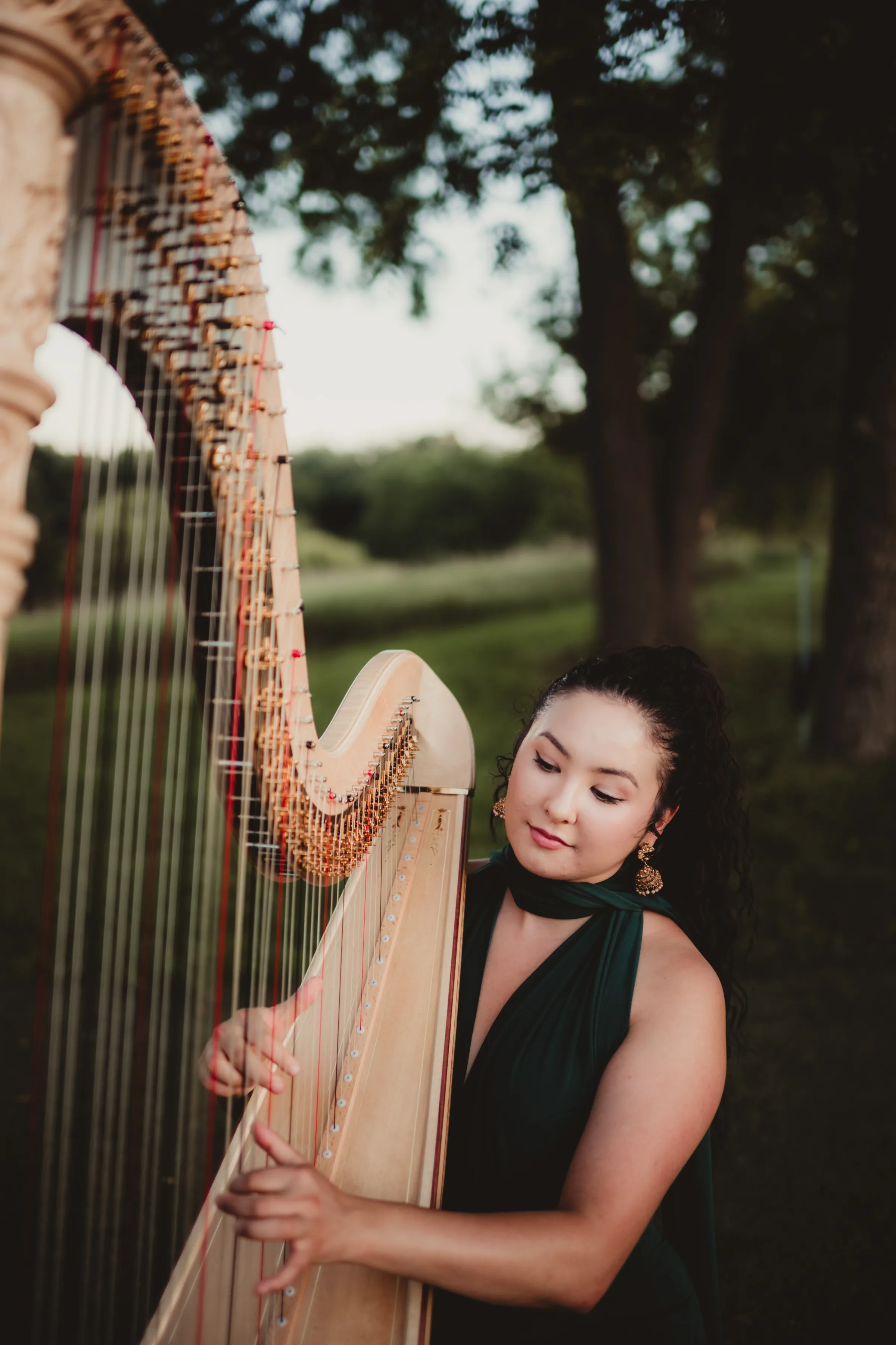 Pearlnote strings plays the harp
